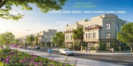 biet thu song lap vinhome long an  ?? gia ban   phan tich
